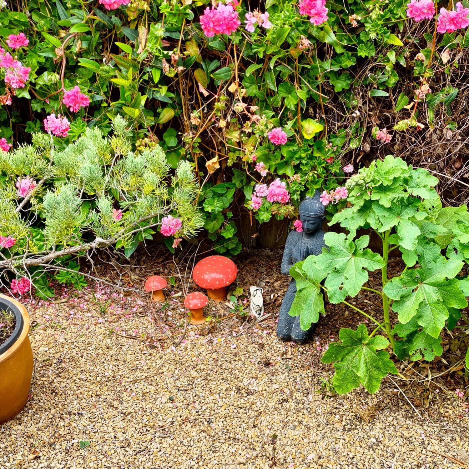 Gumnut Getaway Bnb Goolwa North ภายนอก รูปภาพ